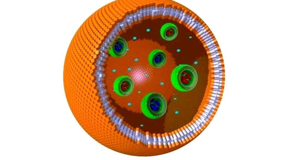 Vom putea crea viaţă în laborator? Cercetătorii au fabricat, în premieră, o celulă artificială cu organite funcţionale