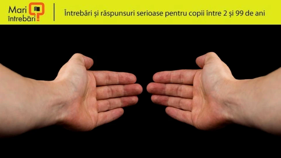 De ce unii oameni sunt stângaci?