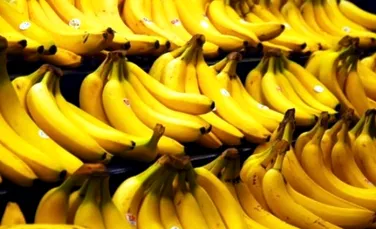 Culturile de banane sunt afectate de un virus care circulă în întreaga lume
