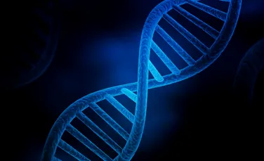 Oamenii de știință au descoperit ce anume ar putea cauza îmbătrânirea prematură