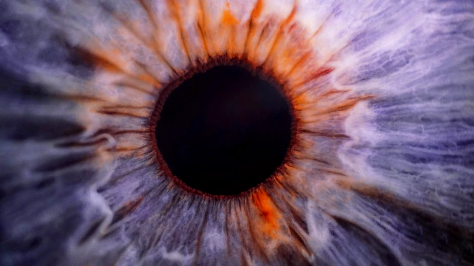 Pupilele ochilor noștri pot percepe și informația numerică, nu doar lumina
