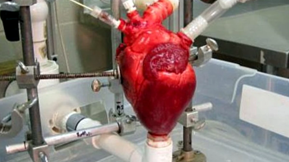 Organe, tuburi si computere: un aparat biomecanic va stimula progresul chirugiei