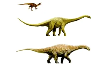 Trei specii noi de dinozauri de mari dimensiuni