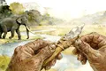 Unelte vechi de 160.000 de ani rescriu istoria omenirii