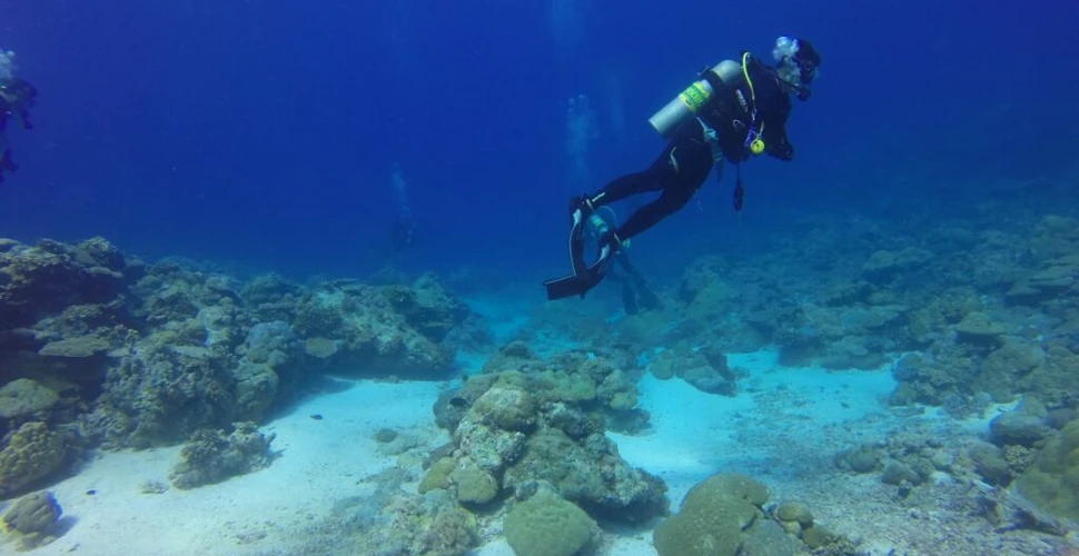 Nepotul lui Jacques Cousteau are un plan îndrăzneț. Vrea să construiască o rețea subacvatică de stații de cercetare