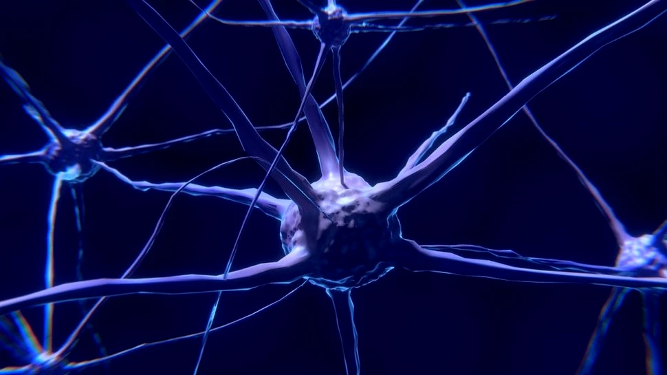 Unele situaţii de învăţare solicită întreg creierul