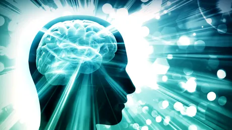 Creierul bărbaților versus creierul femeilor: Care sunt diferențele?