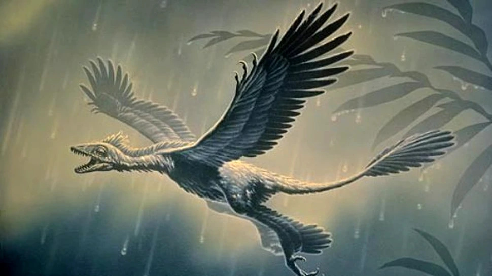 Dinozaurii descind din pasari, nu invers?
