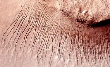Marte, o planetă cu izvoare sărate?
