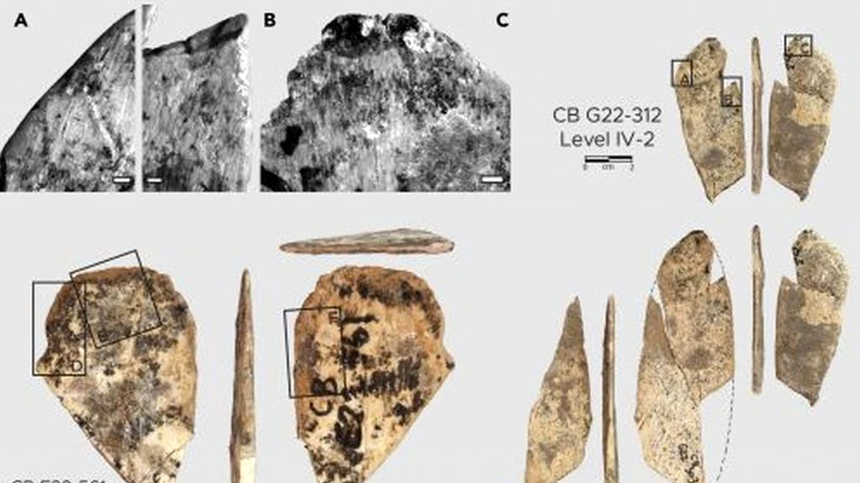 Cele mai vechi dovezi care arată că oamenii confecționau haine și acum 120.000 de ani