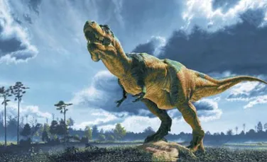 Controversa asupra unei mostre de tesut a unui T-Rex