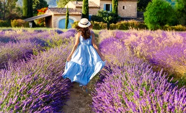 Provența, sau Provence, o regiune care a înflorit de pe urma comerțului cu lavandă