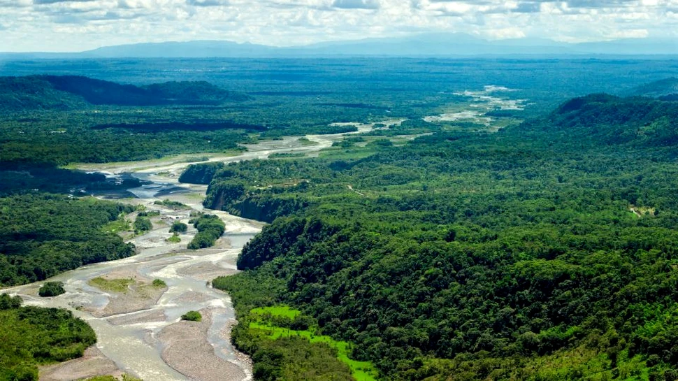 Restabilirea suprafeţelor împădurite, soluţia de atenuare a schimbărilor climatice