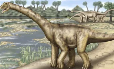 Fosile de dinozaur descoperite in Utah