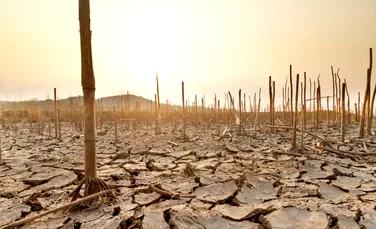 ONU atrage atenția că țările lumii nu respectă planul de acțiune privind schimbările climatice