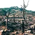 Copacii care au supraviețuit bombei atomice lansate asupra Hiroshima