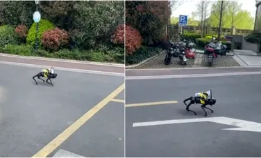 Un câine robot luptă cu pandemia. Cum le cere China cetățenilor să rămână în case?