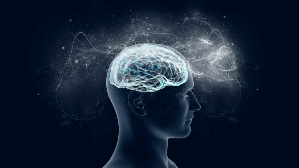 Oamenii de știință au găsit rețeaua neuronală vitală pentru creativitate