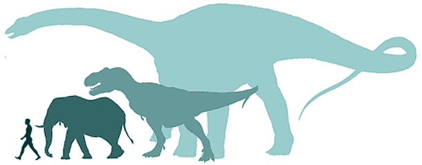 Argentinosaurus, Tyrannnosaurus rex, cel mai mare animal terestru de astăzi, elefantul african, şi un om