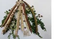 O plantă comună din Brazilia are potențialul de a elimina microplasticele din apă