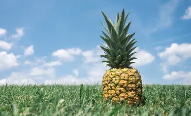 Beneficiile ananasului în dietă