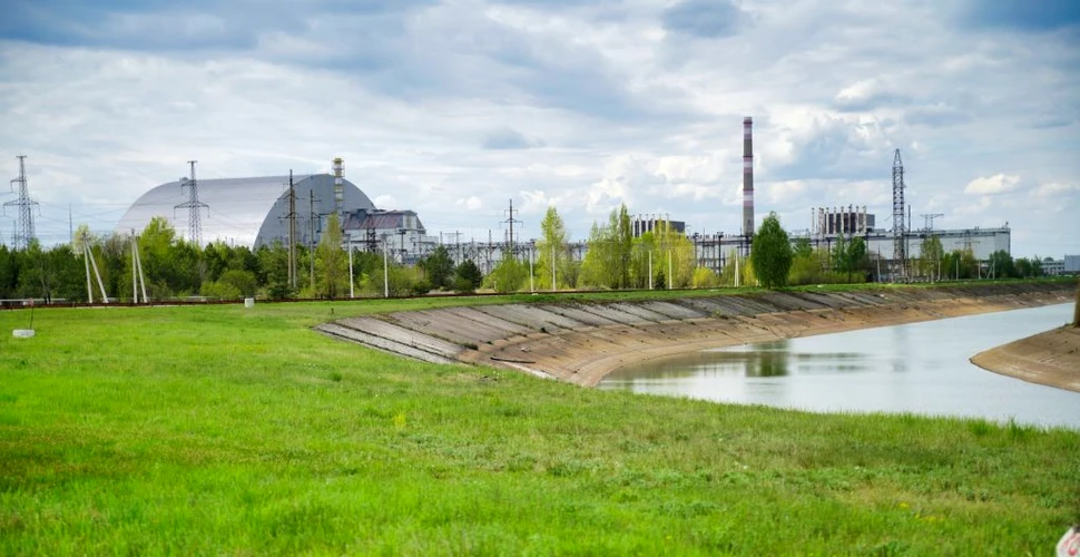 Niveluri de radiații periculoase, descoperite la recoltele din afara zonei de excludere de la Cernobîl