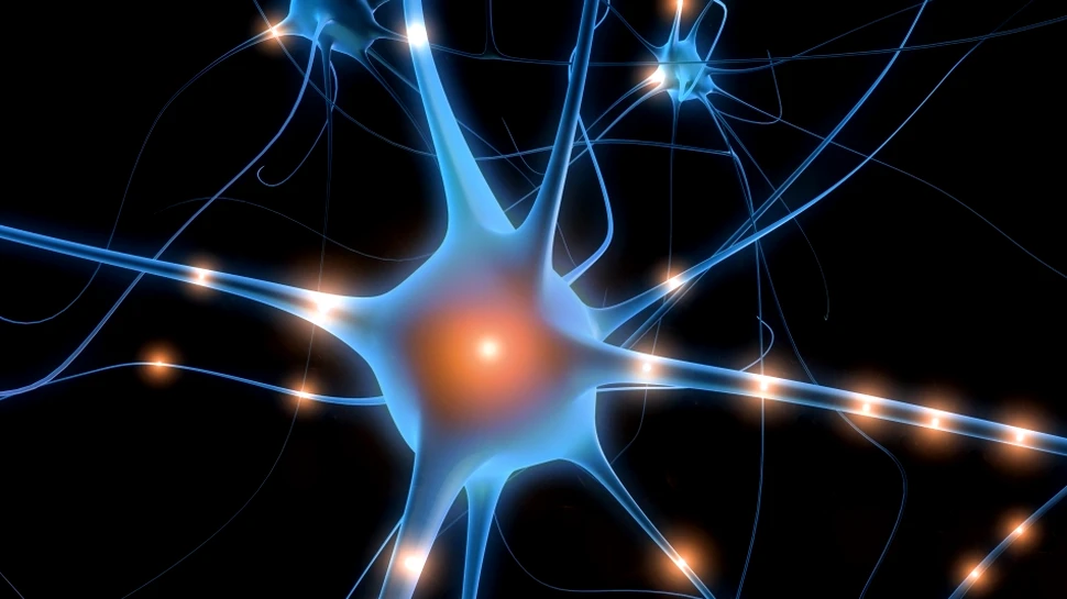 IBM a creat primii neuroni artificiali care funcţionează după modelul biologic întâlnit la organisme