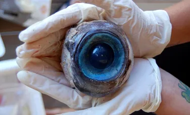 Un misterios ochi albastru de mari dimensiuni a fost descoperit pe o plajă din Florida