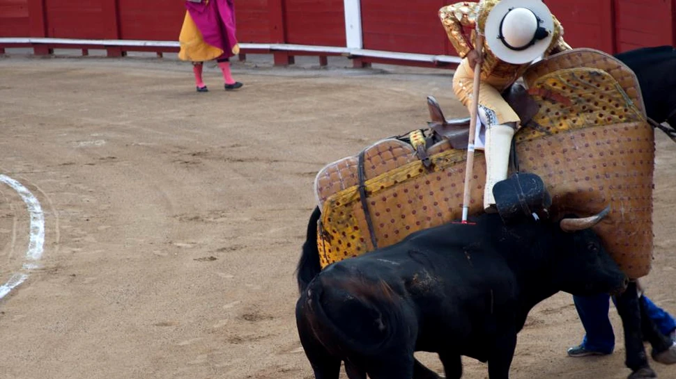 Abuzul sexual şi cruzimea faţă de animale au fost subiectele principale ale Festivalului de la Pamplona 2018