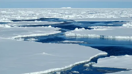 Gheața din Antarctica a început să se topească în anii 1940