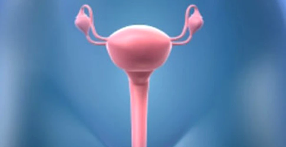 Femeia cu doua utere a nascut gemeni