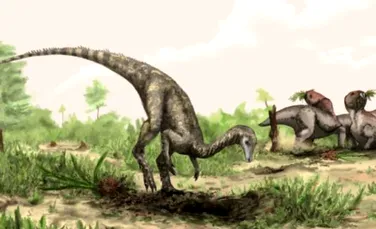Cum arăta cel mai vechi dinozaur?