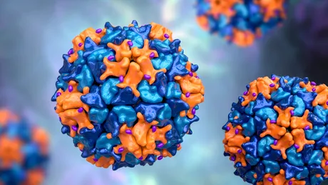 O tulpină de poliovirus, care provoacă poliomielită, detectată sistemul de canalizare din Londra