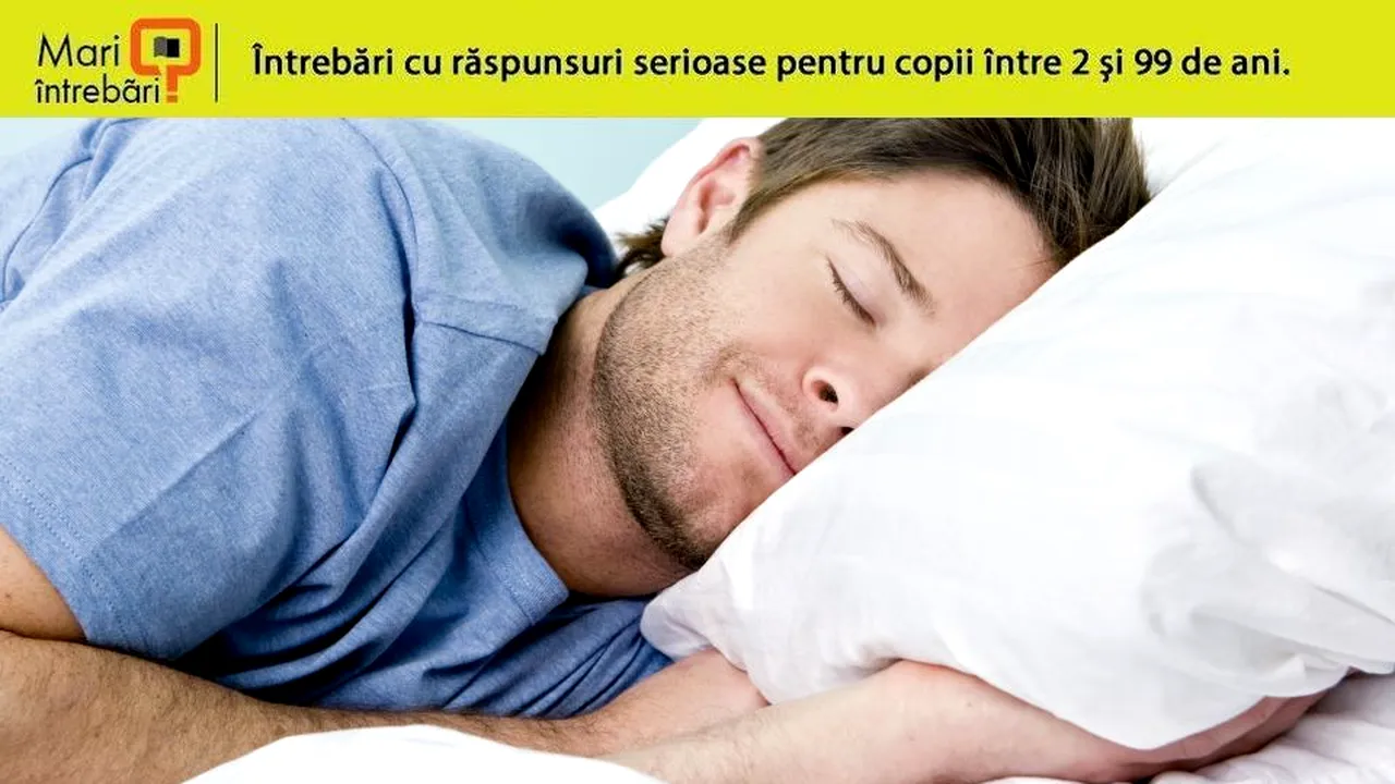 1-sleep 