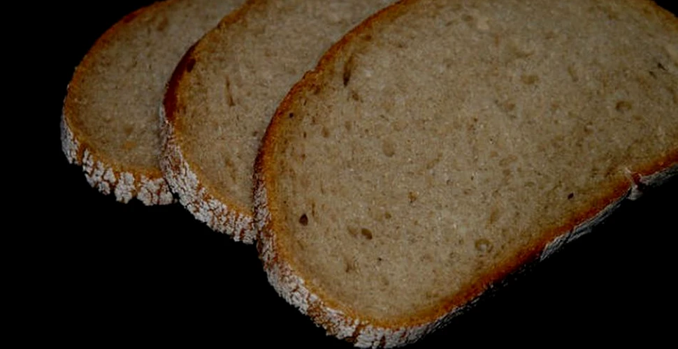 O pâine veche de 123 de ani, adusă din Italia de un navigator, este expusă în România