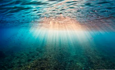 Un tratat ONU pentru protejarea oceanelor va deveni lege din ianuarie 2026