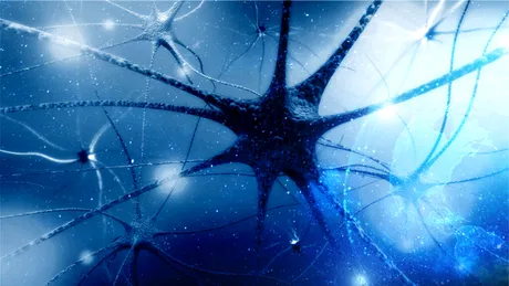 Progres major în cazul uneia dintre principalele cauze ale paraliziei