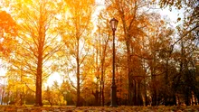 Cum va fi vremea în următoarele patru săptămâni? Iată prognoza ANM până la începutul lui septembrie!