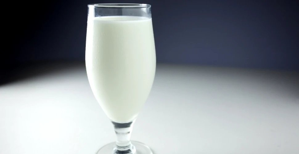 În China, vaci modificate genetic produc «lapte de om»!