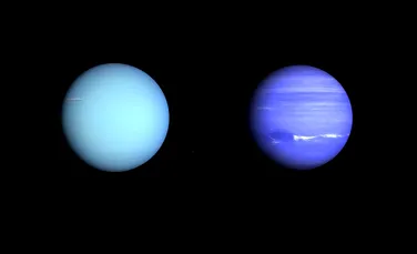 O ciupercă ar putea fi vinovată pentru lipsa amoniacului din atmosfera planetelor Uranus și Neptun
