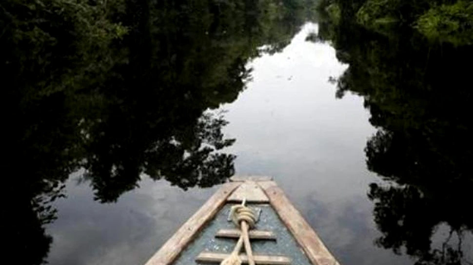 Noul ministru al mediului din Brazilia declara ca nu va distruge Amazonia