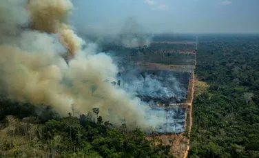 Autorităţile din Indonezia au folosit ploaia artificială pentru a stinge incendiile de vegetaţie
