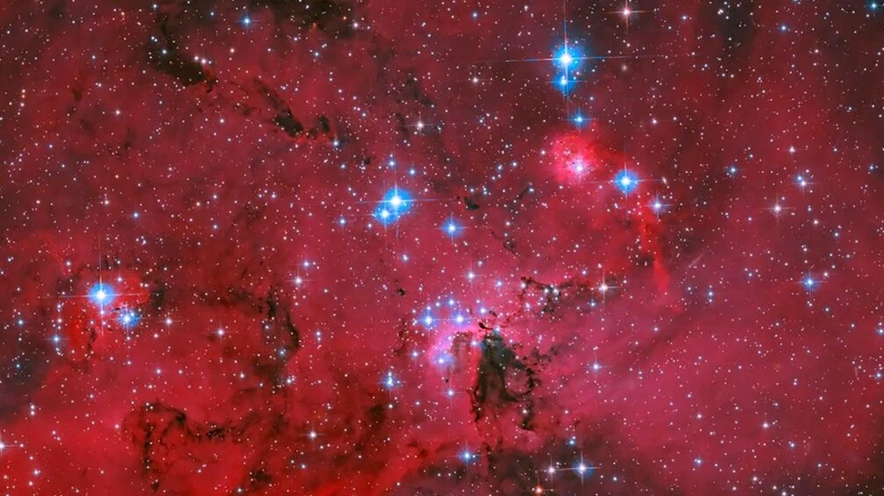Telescopul Hubble al NASA a surprins o pepinieră stelară uimitoare