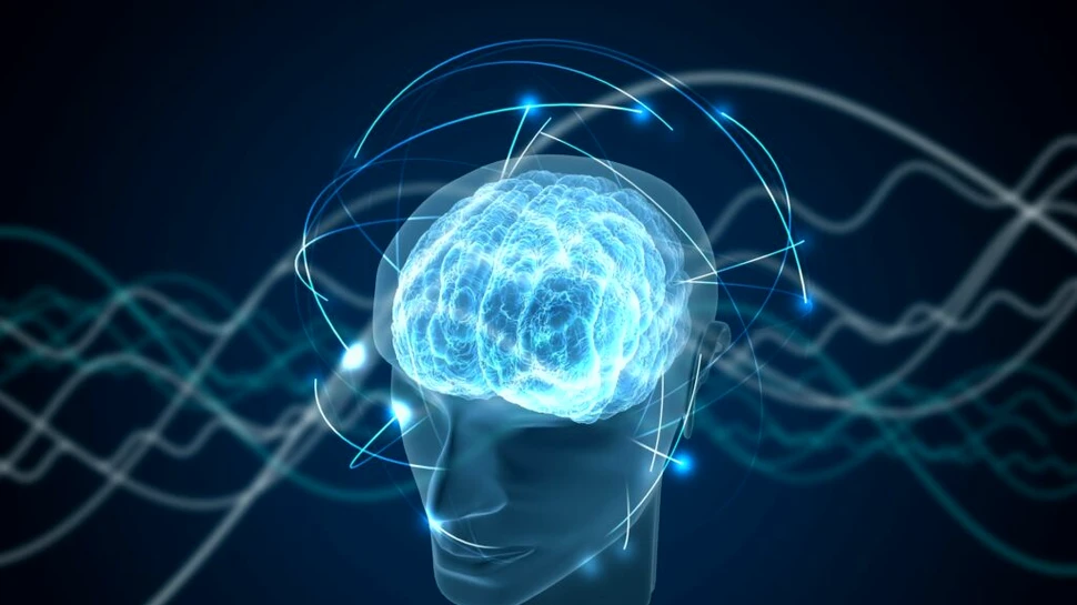 Un experiment aruncă o nouă lumină asupra originilor conștienței