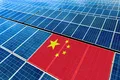 Cum a reușit China să reducă dependența de petrol?