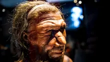 O invenție neașteptată, atribuită neanderthalienilor. Ce au descoperit cercetătorii?