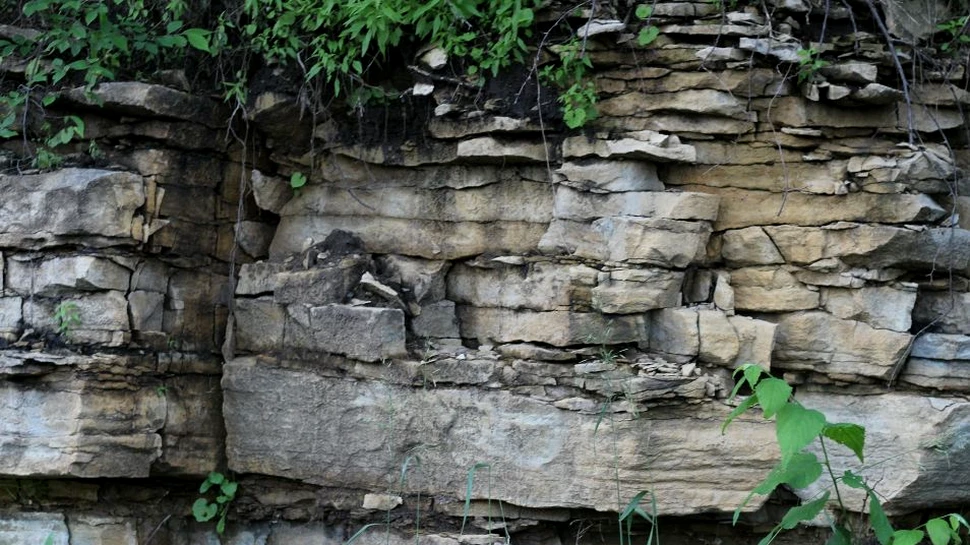 O nouă eră geologică: Chibanianul. A fost ultima inversare a polilor magnetici ai planetei