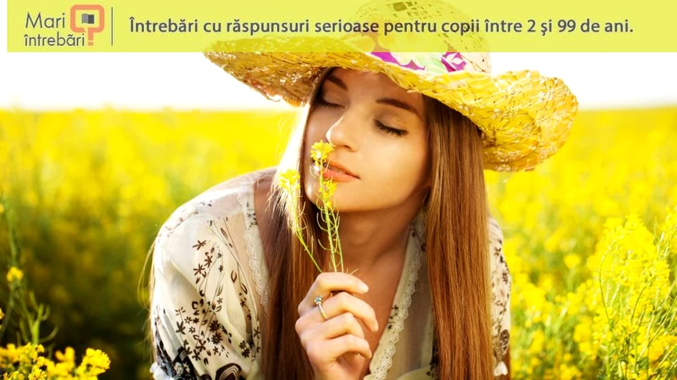 Cum funcţionează simţul olfactiv?