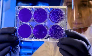 Cercetătorii au creat un virus care atacă cancerul, dar nu afectează celulele sănătoase