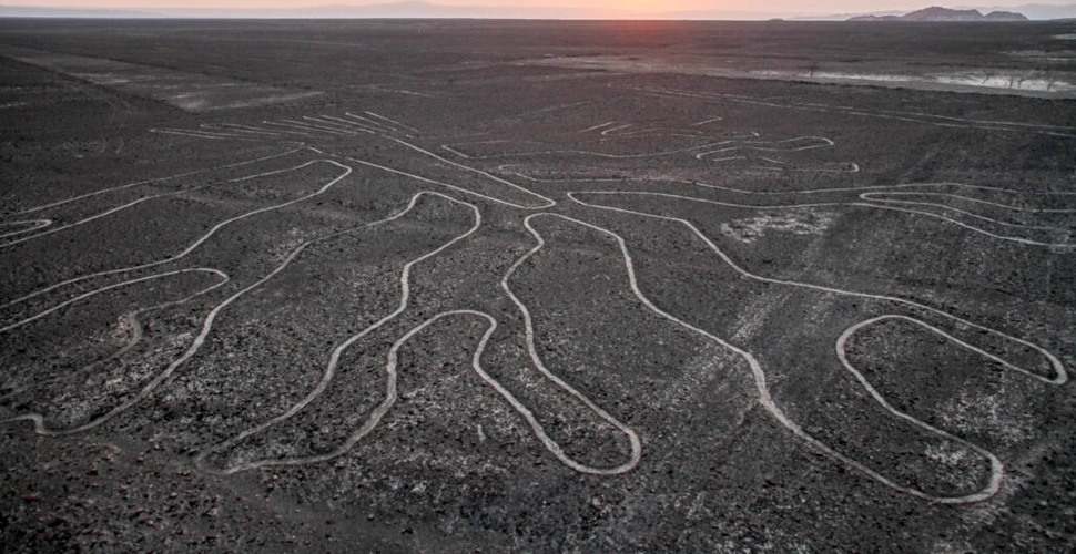 Un nou studiu ar fi rezolvat misterul Liniilor Nazca